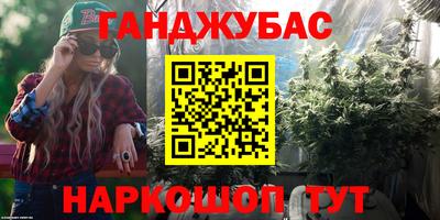 гашик Дубна