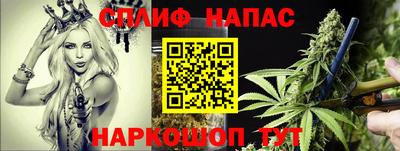 гашик Дубна
