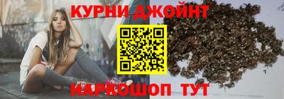 гашик Дубна