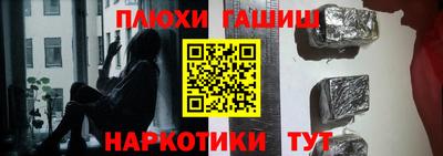 гашик Дубна