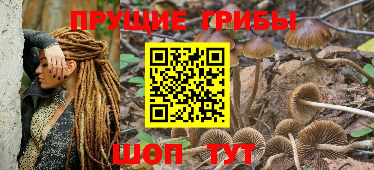 Ликино-Дулёво  Галлюциногенные грибы GOLDEN TEACHER  Вход с VPN 