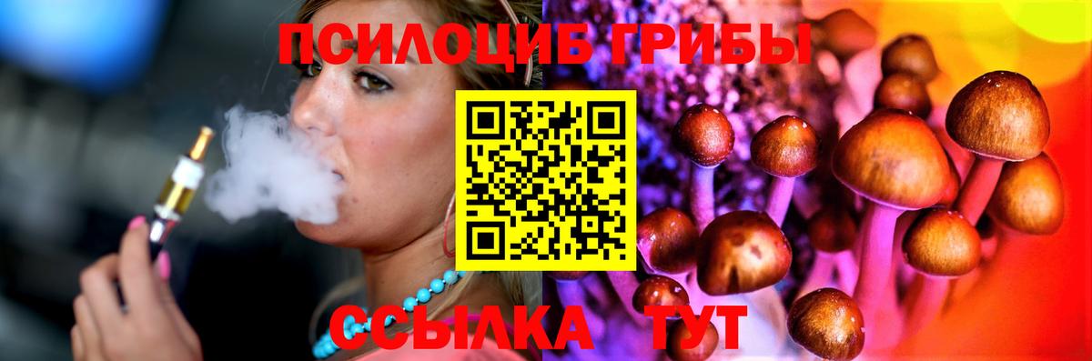 Псилоцибиновые грибы Psilocybine cubensis Ликино-Дулёво